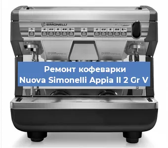 Замена фильтра на кофемашине Nuova Simonelli Appia II 2 Gr V в Нижнем Новгороде